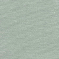 Cardinal Duck Egg swatch